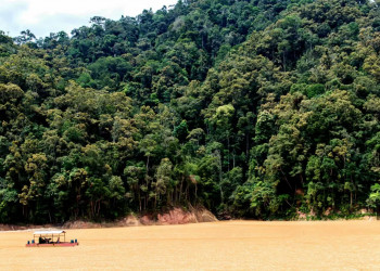 Queimadas atuais na Amazônia não são 'padrão Califórnia', diz Mourão